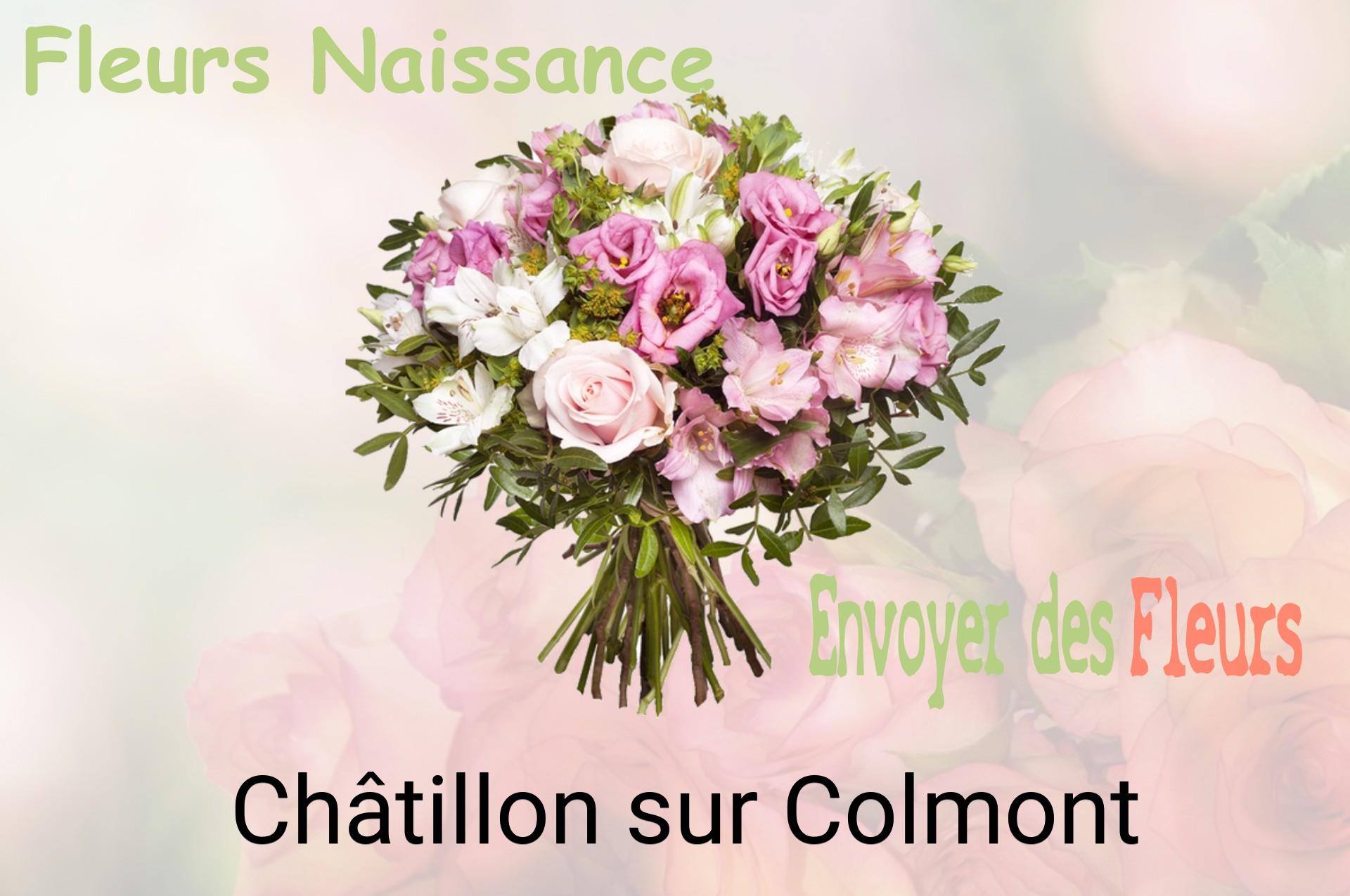 Bouquet de fleurs de naissance livré à Châtillon-sur-Colmont