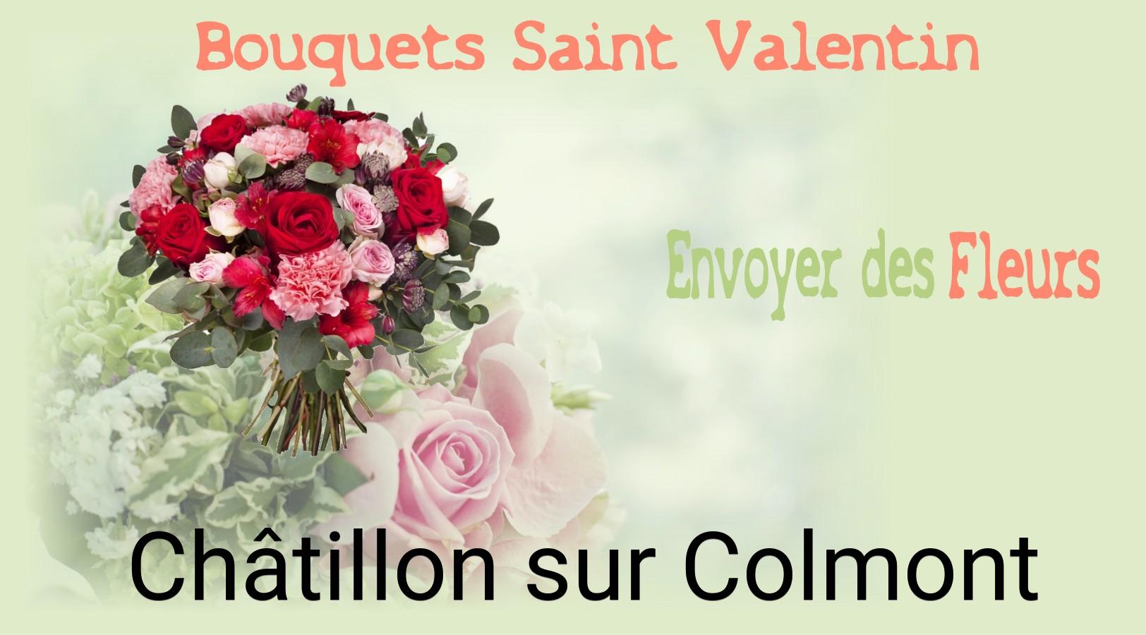 Roses de Saint-Valentin livrées à Châtillon-sur-Colmont