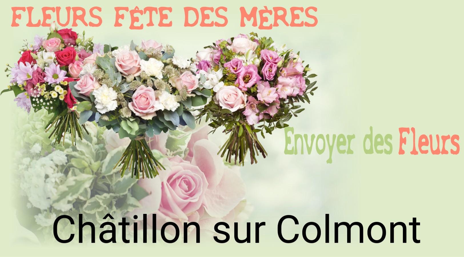 Bouquet de Fête des Mères livré à Châtillon-sur-Colmont